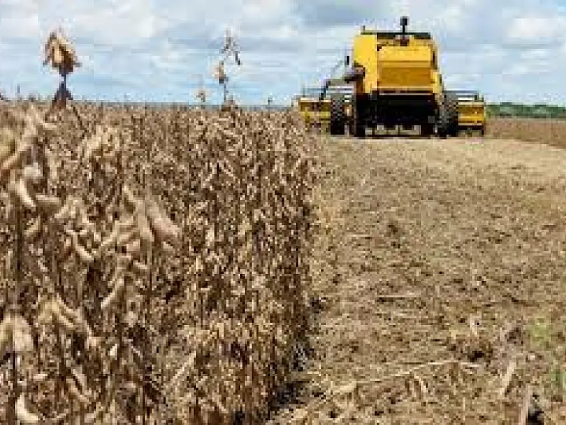 Mais da metade da área plantada com soja em Mato Grosso do Sul já foi colhida, aponta entidade