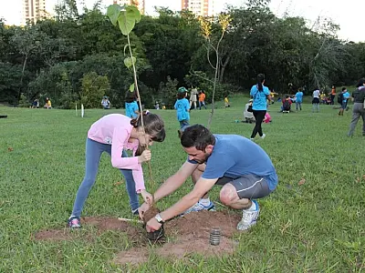Prefeitura celebra hoje Dia da Árvore com doação de mudas