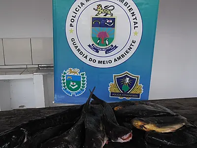 PMA autua turista mineiro com 35 kg de pescado acima da cota