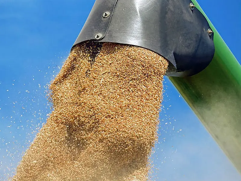 Preços dos alimentos atingem nível mais alto desde fevereiro de 2015
