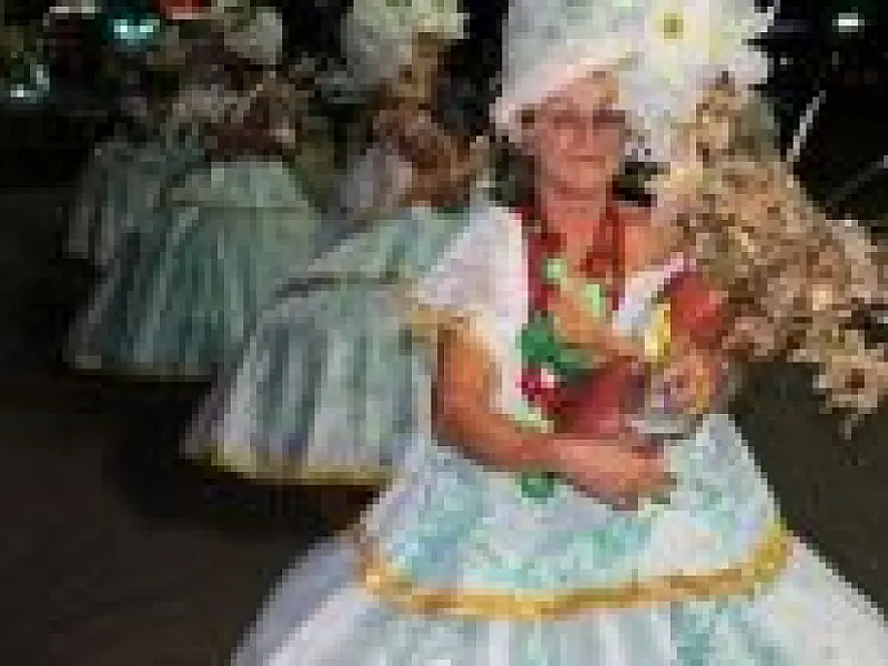 Lançamento do Carnaval de Campo Grande acontece neste domingo na Afonso Pena