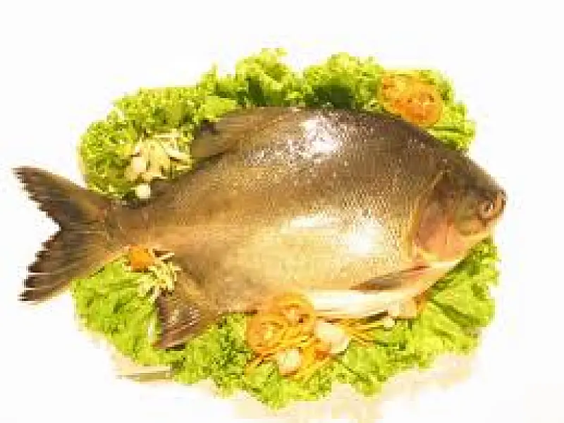 Supermercados participam da Semana do Peixe
