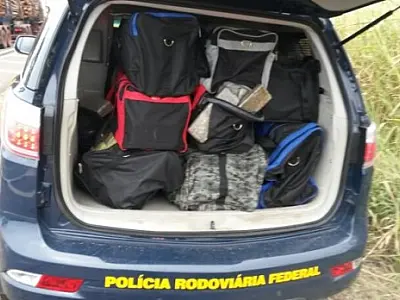 PRF encontra mais de 300 tabletes de drogas na BR-267