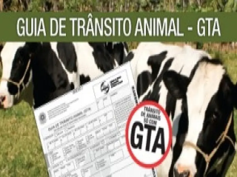 Produtor vai poder emitir GTA via Internet em MS
