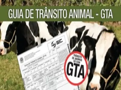 Produtor vai poder emitir GTA via Internet em MS