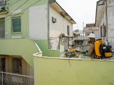 Corumbá registra alta nas infestações do mosquito Aedes aegypti