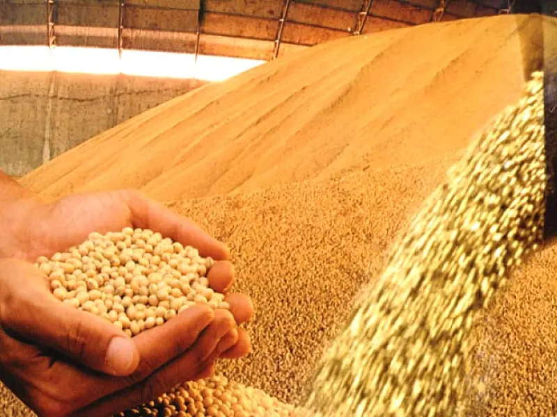 Centro-Oeste produz 35% dos grãos do País