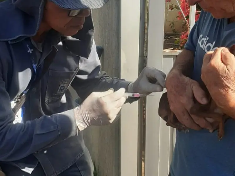 DIA MUNDIAL DAS ZOONOSES: SAIBA O QUE SÃO E COMO EVITÁ-LAS