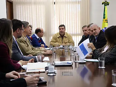 Governador discute com bancada federal medidas para proteger MS de perdas com a reforma tributária