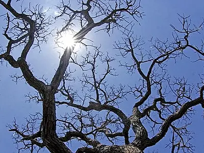 Sábado ensolarado e seco em Mato Grosso do Sul
