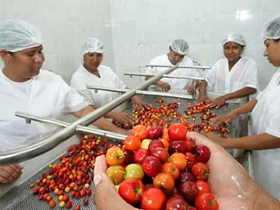 Senado analisa projetos para inclusão de empresas no Simples
