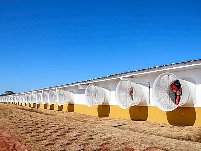 Atraída para MS em evento nacional, granja reforça cadeia produtiva e aposta no sustentável