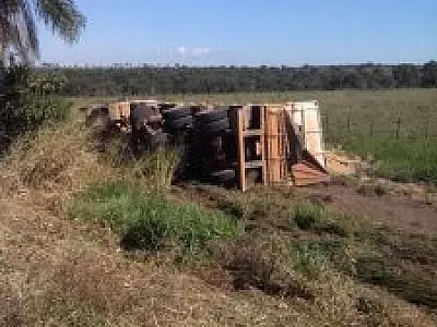 Carreta carregada de farelo tomba as margens da BR-163
