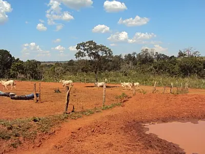 Fazendeiro é autuado em R$ 20 mil por erosão em área de preservação ambiental