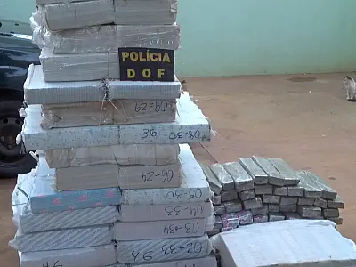 DOF apreende mais de meia tonelada de maconha em veículo