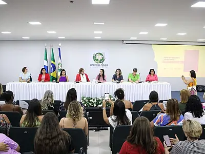Desafios e políticas para as mulheres são abordados em encontro do CEDM-MS com ministra