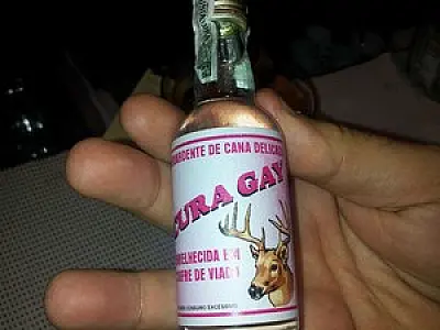 Bolsonaro distribui gracejo homofóbico