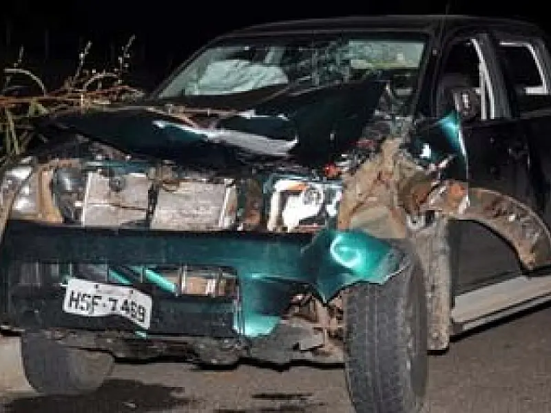 Caminhonete atropela boi na BR-359, entre Alcinópolis e Costa Rica