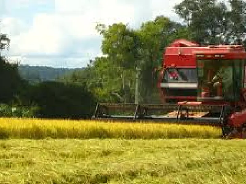 Balança do agronegócio tem superavit de US$ 8,7 bilhões em agosto