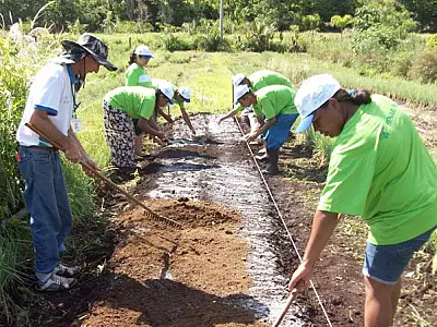 Pequenos produtores terão curso de manejo de horta em MS