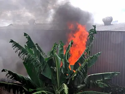 Incêndio em supermercado mobiliza Bombeiros de Nova Andradina