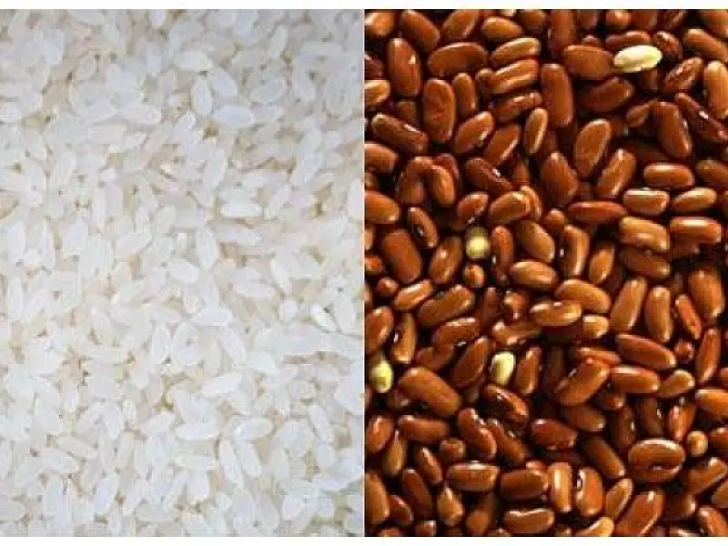 Arroz e feijão terão quarta maior safra desde 1977
