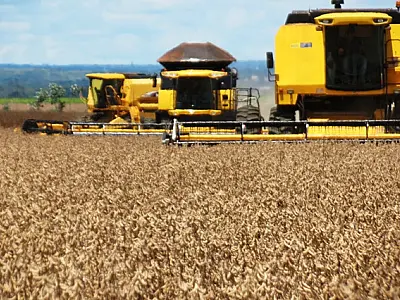 Colheita da soja atinge 70% em Mato Grosso do Sul