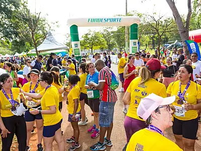 Segunda edição do Festival de Verão no Parque