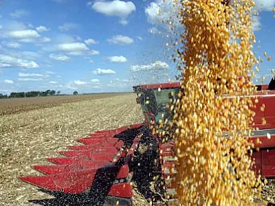 Produção de grãos deve chegar a 162,9 mi de toneladas