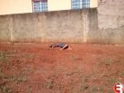 Um é preso e dois apreendidos por matarem jovem a pedradas em Sidrolândia
