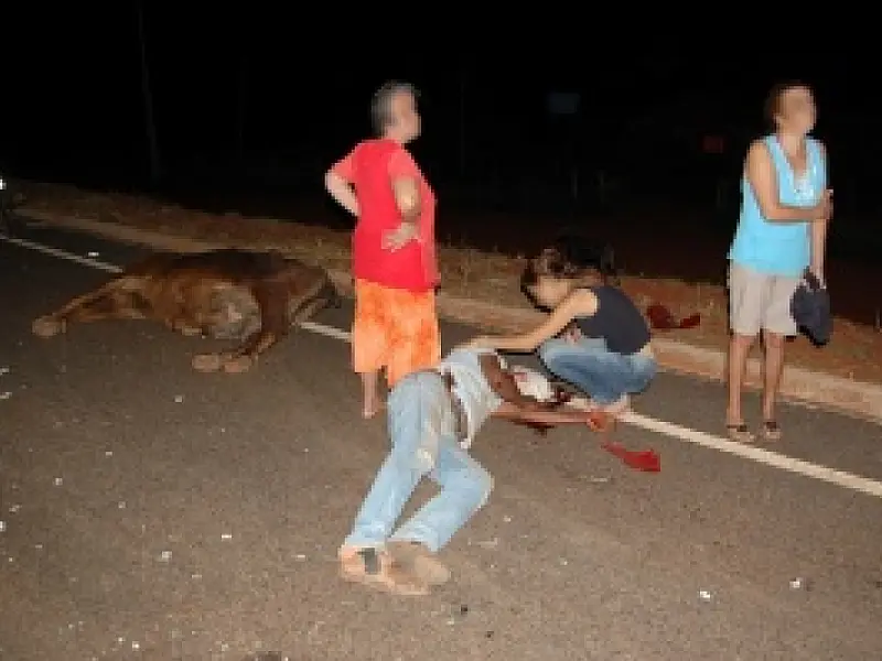 Acidente no município de Angélica deixa motociclista ferido e vaca morta