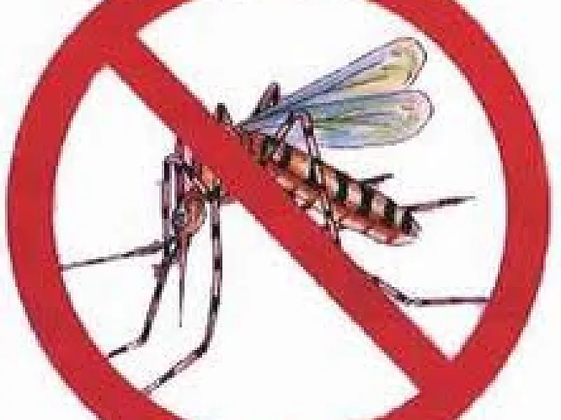 Sesau promove atividades de combate à dengue no Guanandi