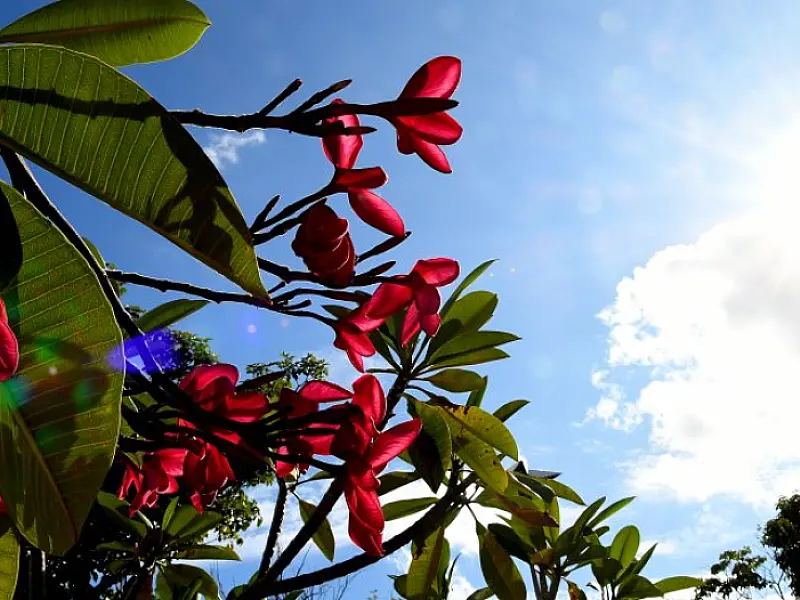 Tempo seco, sol forte e temperaturas em elevação são destaques do final de semana
