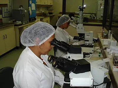 Hemossul homenageia 1º doador de Medula Óssea na "Semana de Mobilização Nacional"