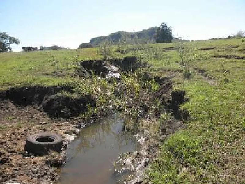 PMA autua fazendeiro em R$ 120 mil em São Gabriel do Oeste