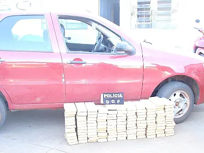 Cerca de 99kg de maconha é apreendida em veículo pelo DOF