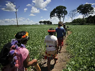 Tribunal determina que PC e PM garantam a segurança nas aldeias de Dourados