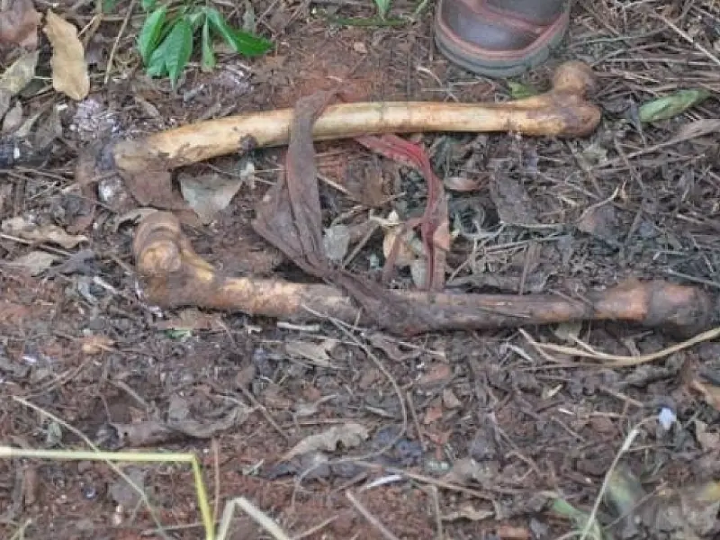 Ossada humana encontrada pode ser de jovem desaparecida há 5 meses