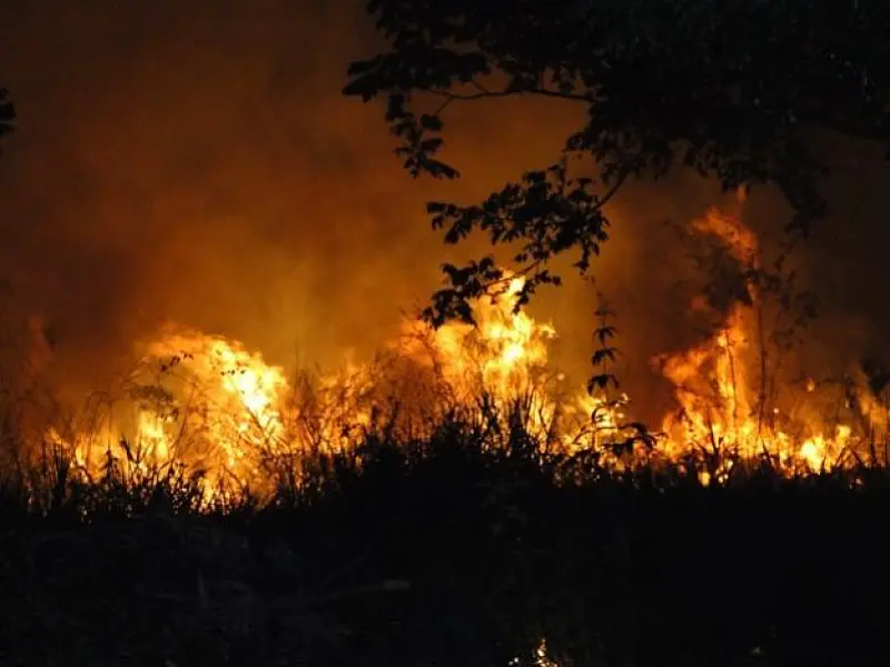 Fogo destruiu 2 hectares na região da Lagoa Comprida em Aquidauana
