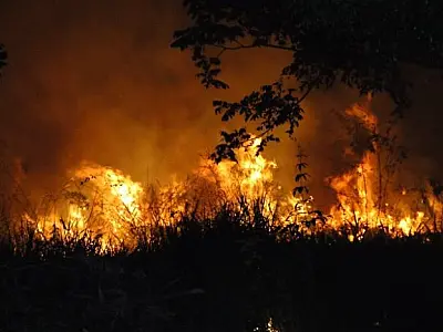 Fogo destruiu 2 hectares na região da Lagoa Comprida em Aquidauana