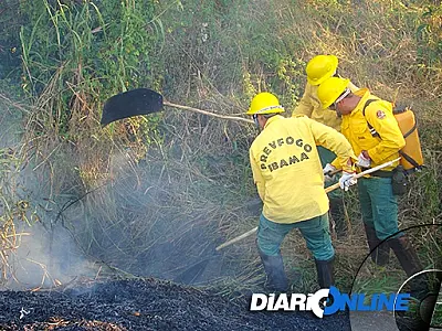 Brigadistas combatem fogo no Pantanal neste sábado