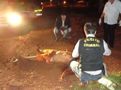Homem é morto com tiros no rosto em Dourados