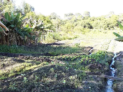 PMA autua dono de lote por degradar margem do rio Verde