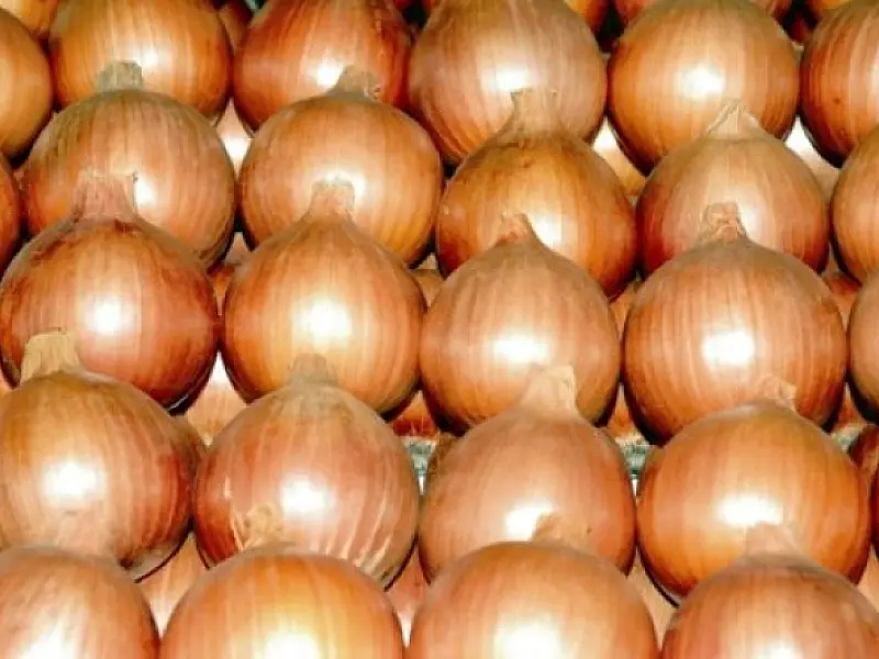 Ação do Governo do Estado beneficia produtos hortifrutigranjeiros comercializados em MS