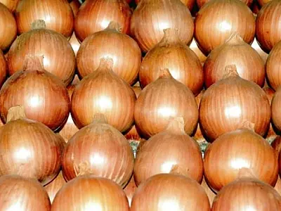 Ação do Governo do Estado beneficia produtos hortifrutigranjeiros comercializados em MS