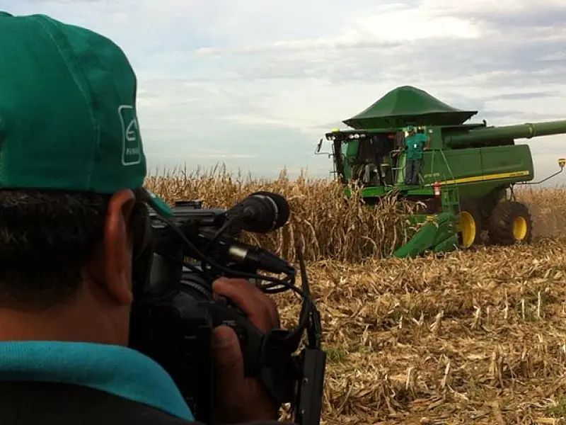 Tecnologia Bt predomina no cultivo do milho safrinha em MS
