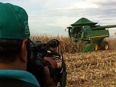 Tecnologia Bt predomina no cultivo do milho safrinha em MS