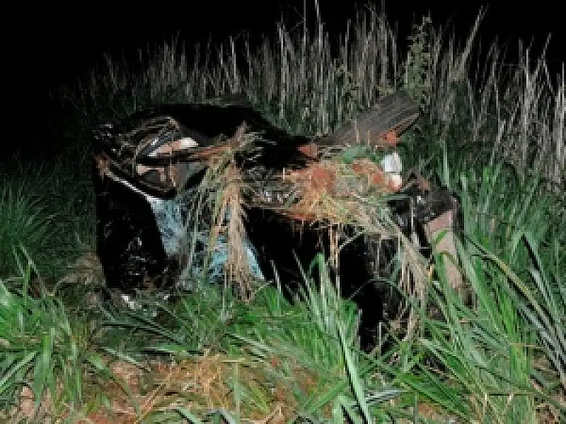 Homem morre após veículo atingir dois cavalos na MS-276