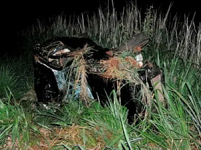 Homem morre após veículo atingir dois cavalos na MS-276