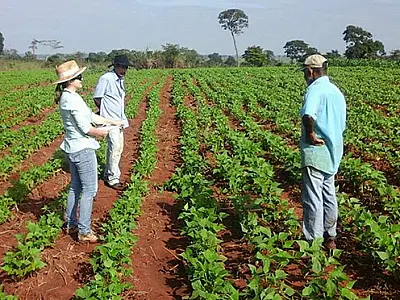 Governo de MS fecha saldo positivo na agricultura familiar com R$ 30 milhões investidos em 2017